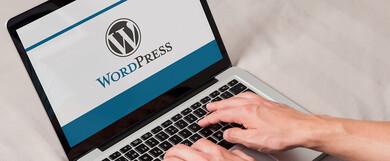 WordPress SEO Increased Organic Traffic