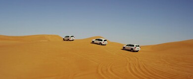 Desert Safari