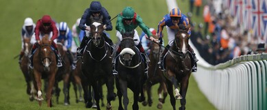 Horse Racing Tips