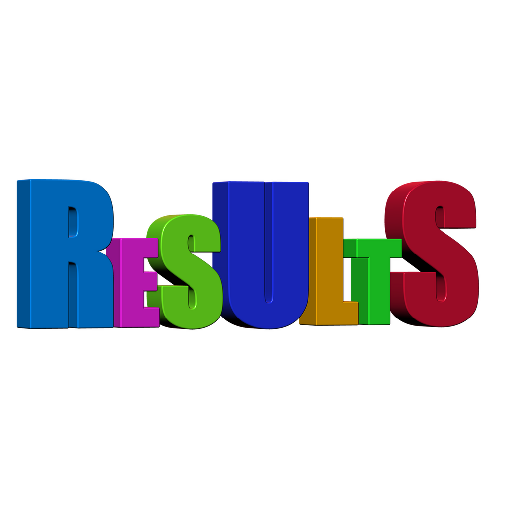 How Long Does It Take to See Results from SEO Services?