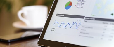 Google Penalty Case Study