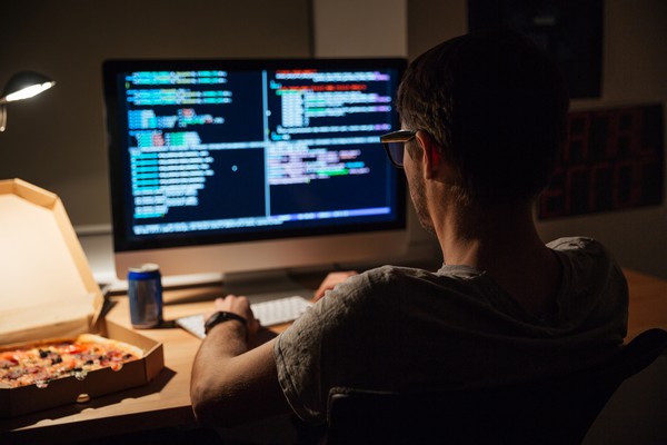 How Web Developers Work