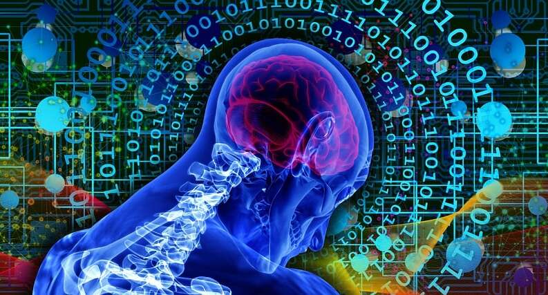 How to Prepare for AI-Driven Search Algorithm Shifts
