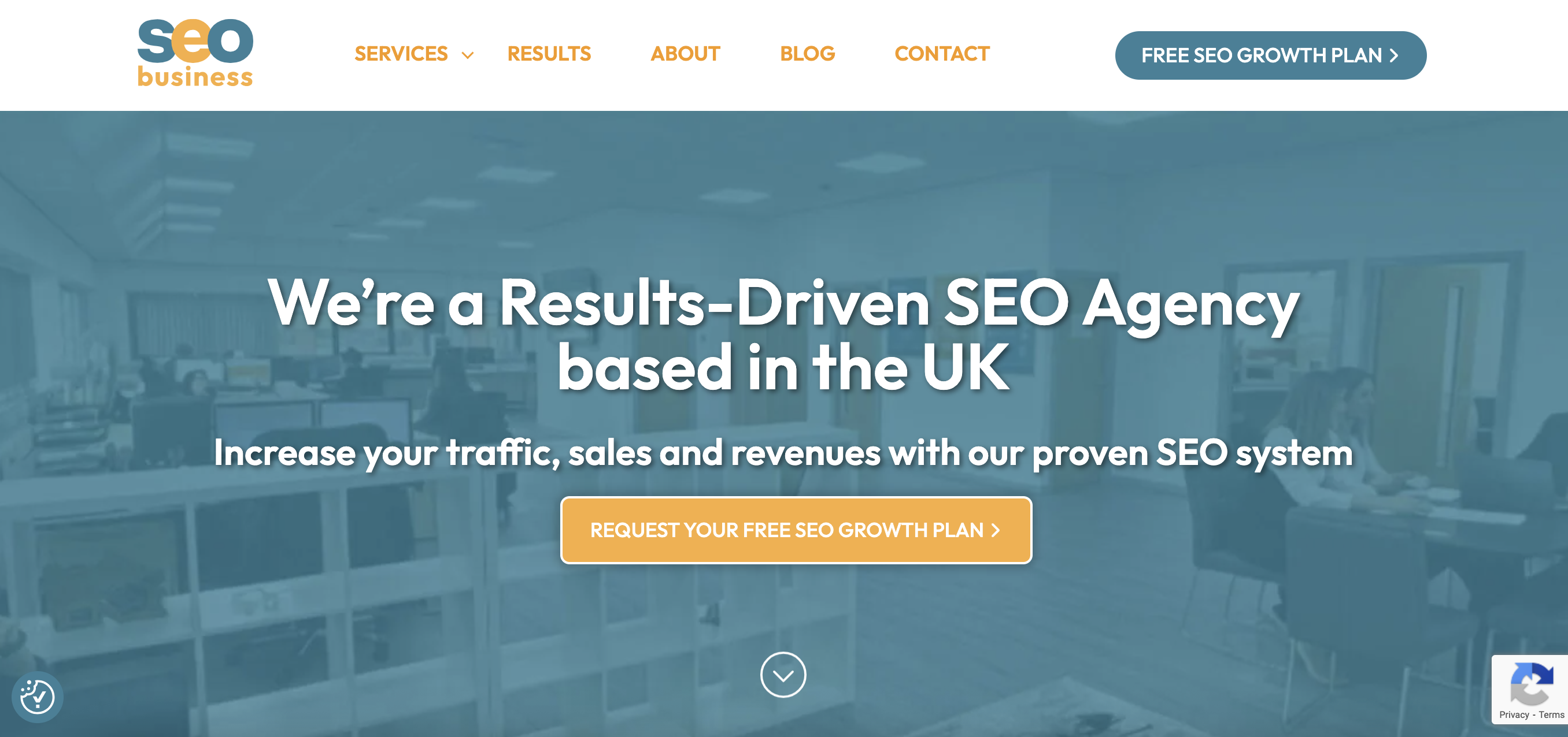 seoBusiness
